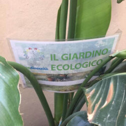 Il giardino ecologico ecodiversità - 12/05/2018