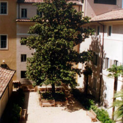 Il cortile della magnolia angolo ovest - 2003
