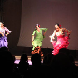 Spettacolo Flamenco in onore di Marina Cepede Fuentes - 20/09/2014