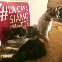 Campagna la Casa siamo tutte - 15/06/2018 Nina e Stella